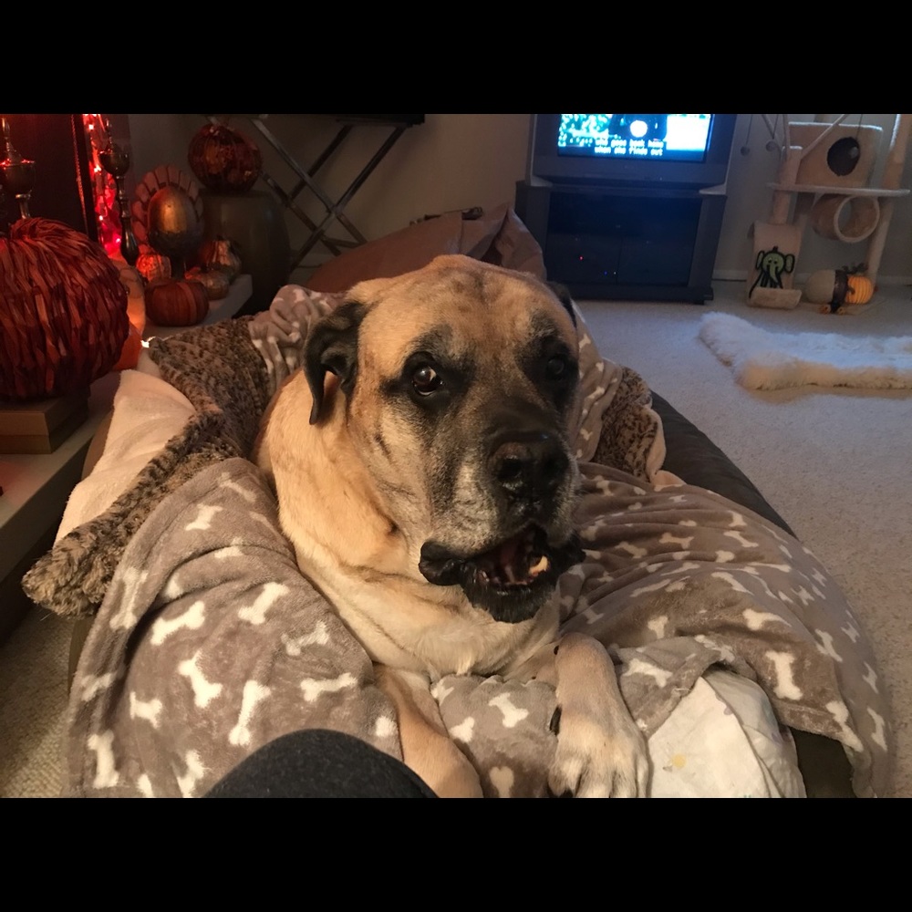 Meet your Posher, Mary